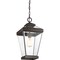 Quoizel Ravine Outdoor Hanging Lantern RAV1910WT - alternate 3